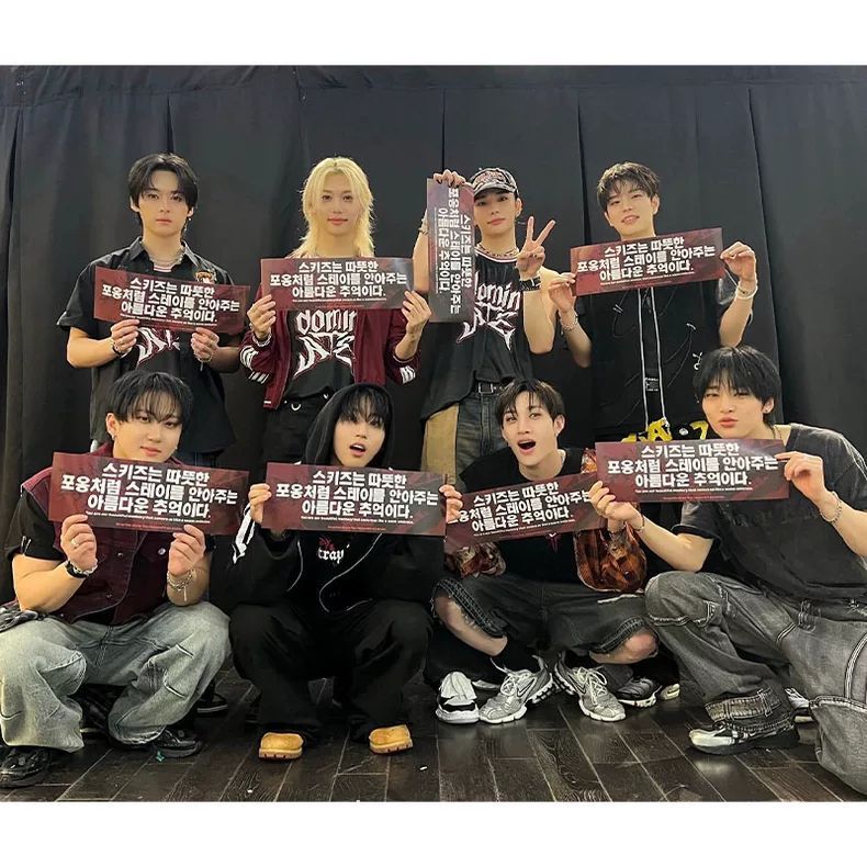 CAMISETAS STRAY KIDS DOMIN ATE TOUR 100% ALGODÓN