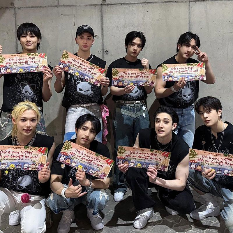 CAMISETAS DE MERCHANDISING DE STRAY KIDS EVIL SKZOO 100% ALGODÓN