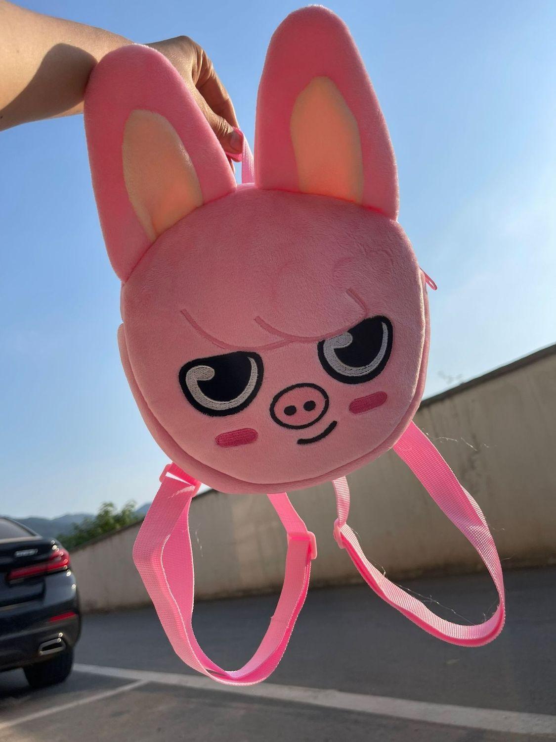 MOCHILAS SKZOO DE STRAY KIDS (disponibles para todos)