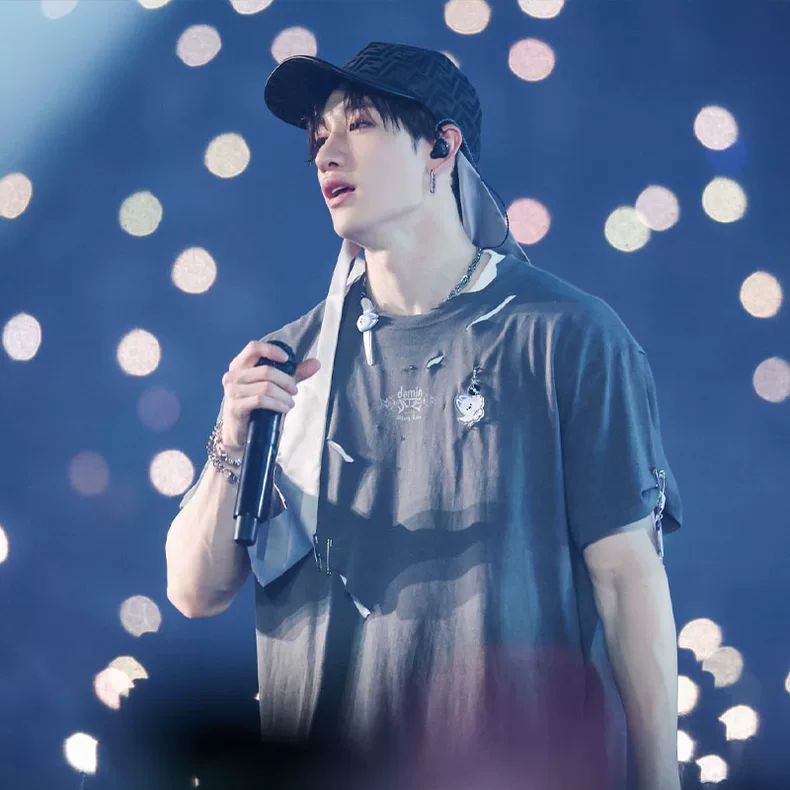 STRAY KIDS MERCH DOMINATE TOUR CAMISETA 100% ALGODÓN