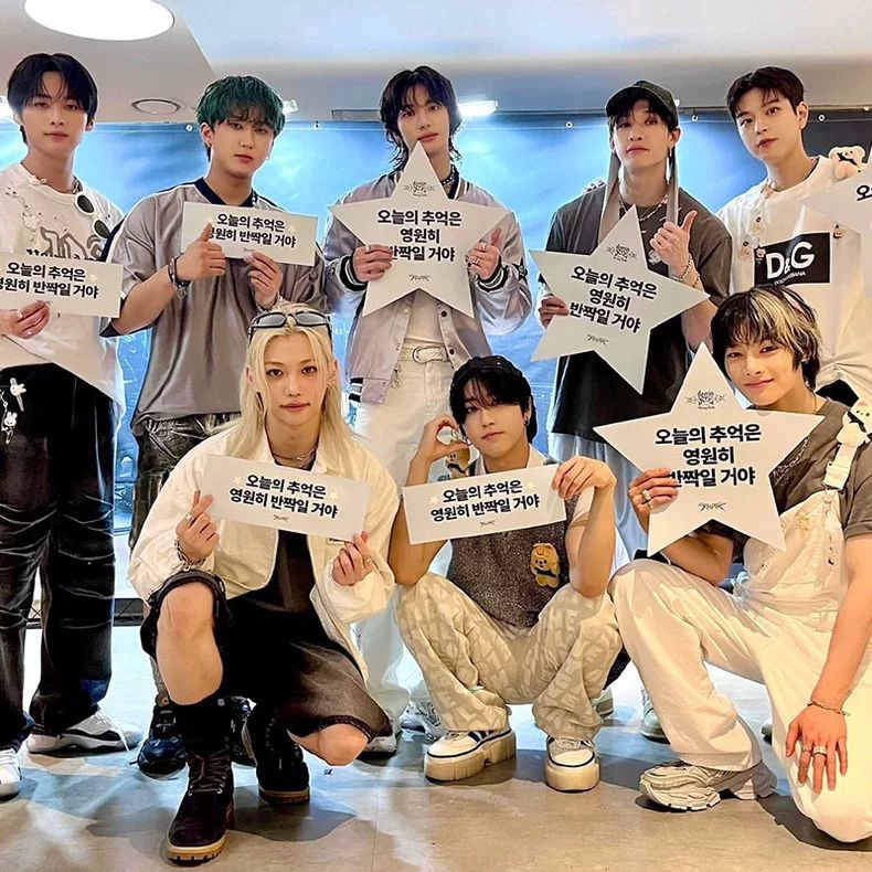 STRAY KIDS MERCH DOMINATE TOUR CAMISETA 100% ALGODÓN