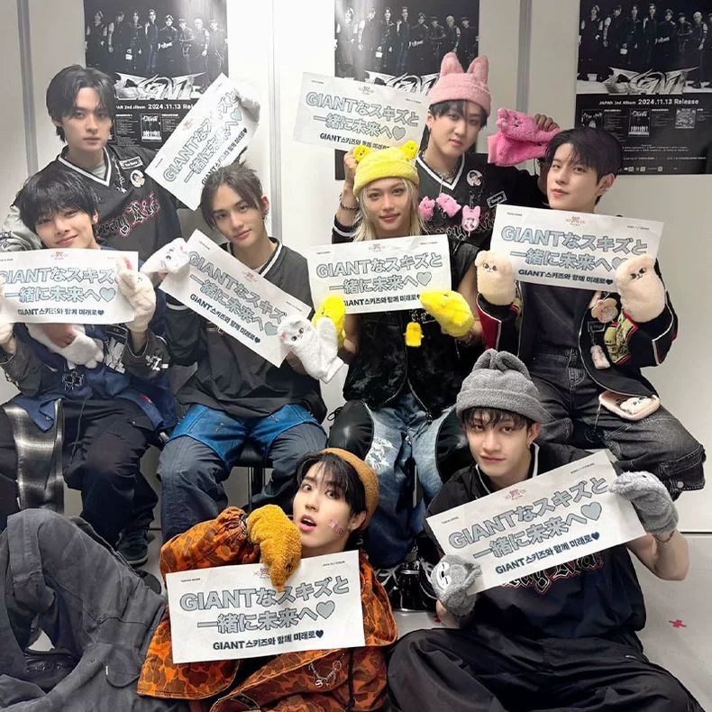 CAMISETAS STRAY KIDS DOMIN ATE TOUR 100% ALGODÓN