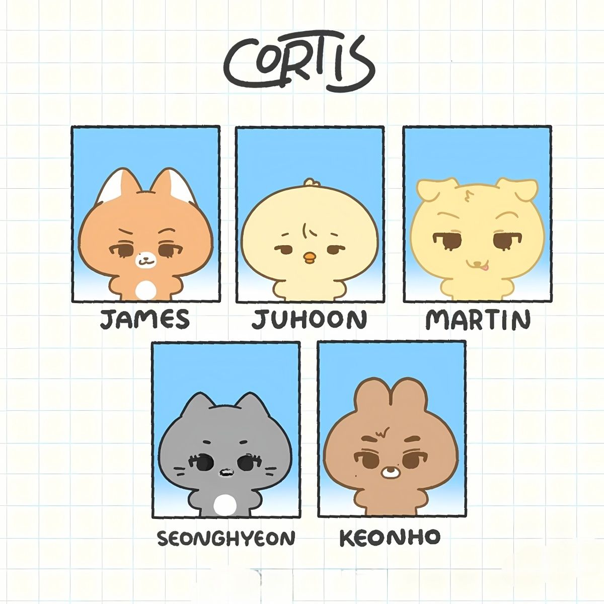 MINIPELUCHE CORTIS