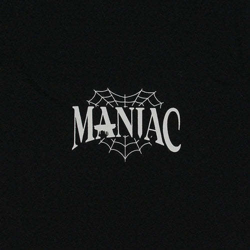 STRAY KIDS MANIAC MANGA LARGA