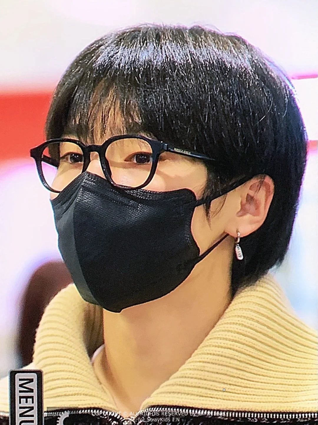 STRAY KIDS STAY&I.N. PENDIENTES (par)